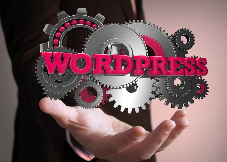 Why WordPress