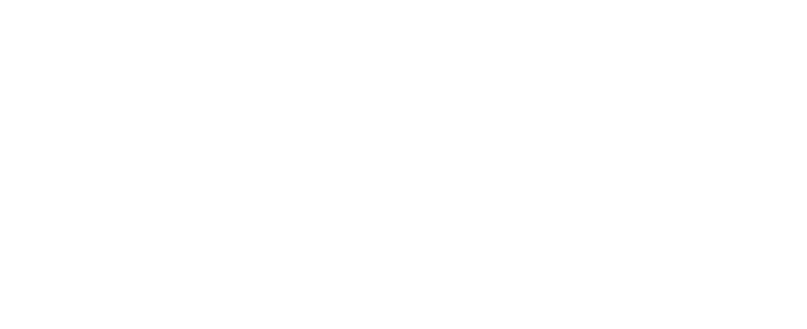 nnaqs-white